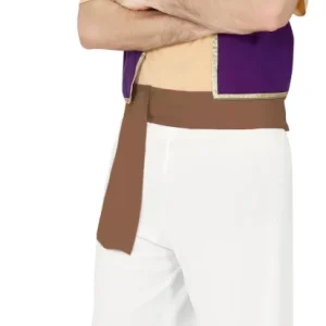 Déguisement d'aladdin le voleur du désert pour homme